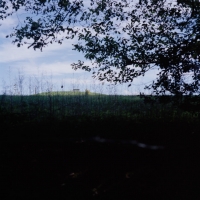 A bench in the distance