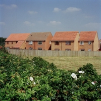 A row of newly built homes