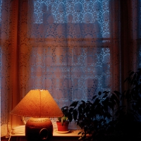 A lamp and net curtain