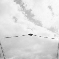 Child on bungee cord